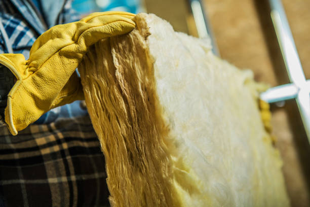 Best Insulation Repair Services  in Guntown, MS